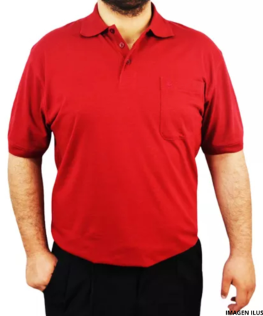 REMERA HOMBRE MCORTA