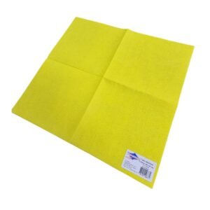 DOCE FREGÓN ABSORBENTE