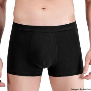 BÓXER ADULTO